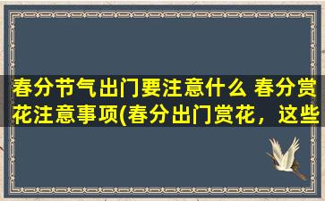 春分节气出门要注意什么 春分赏花注意事项(春分出门赏花，这些注意事项一定要知道！)